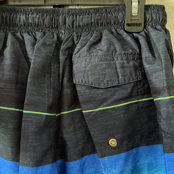 Laguna Boys Swim Trunks - Picture 4 of 8